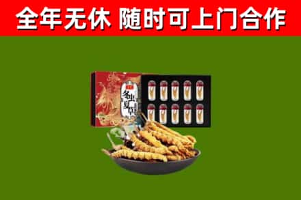 高安市烟酒回收冬虫夏草礼盒.jpg