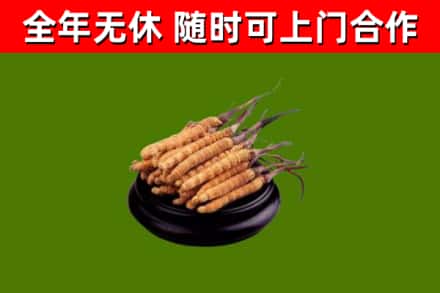 高安市烟酒回收冬虫夏草.jpg